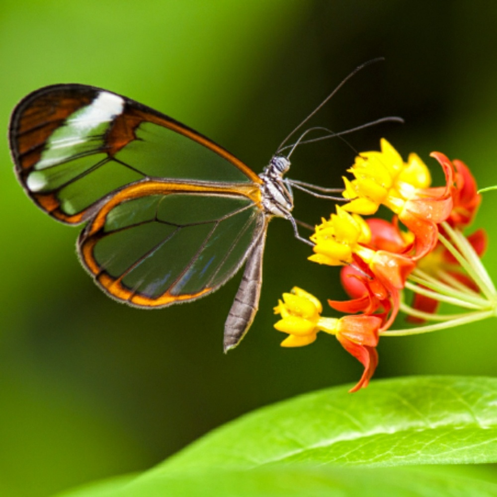 😭TO MY POSHERS WHO RECENTLY PURCHASED